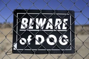 dog sign