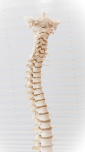 Boulder spinal injury lawyer