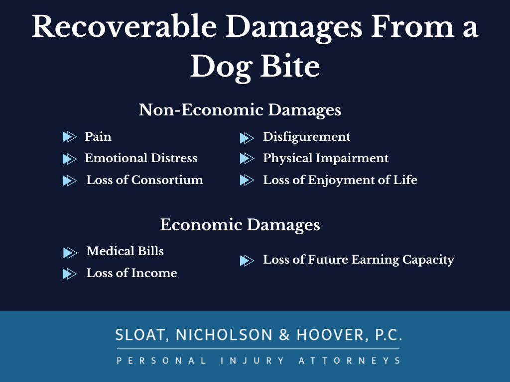 Recoverable damages for dog bites in Colorado