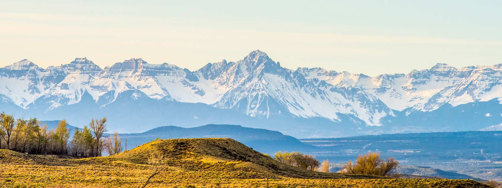 Contact Our Law Firm